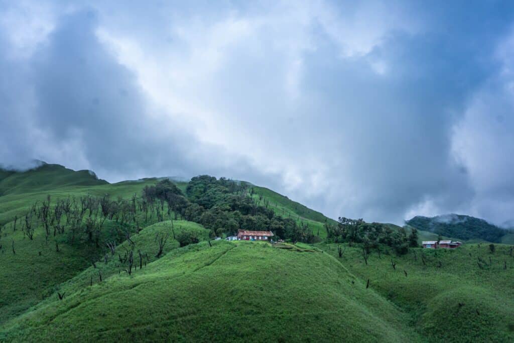 Dzukou Valley: The Nagaland Trekking Paradise